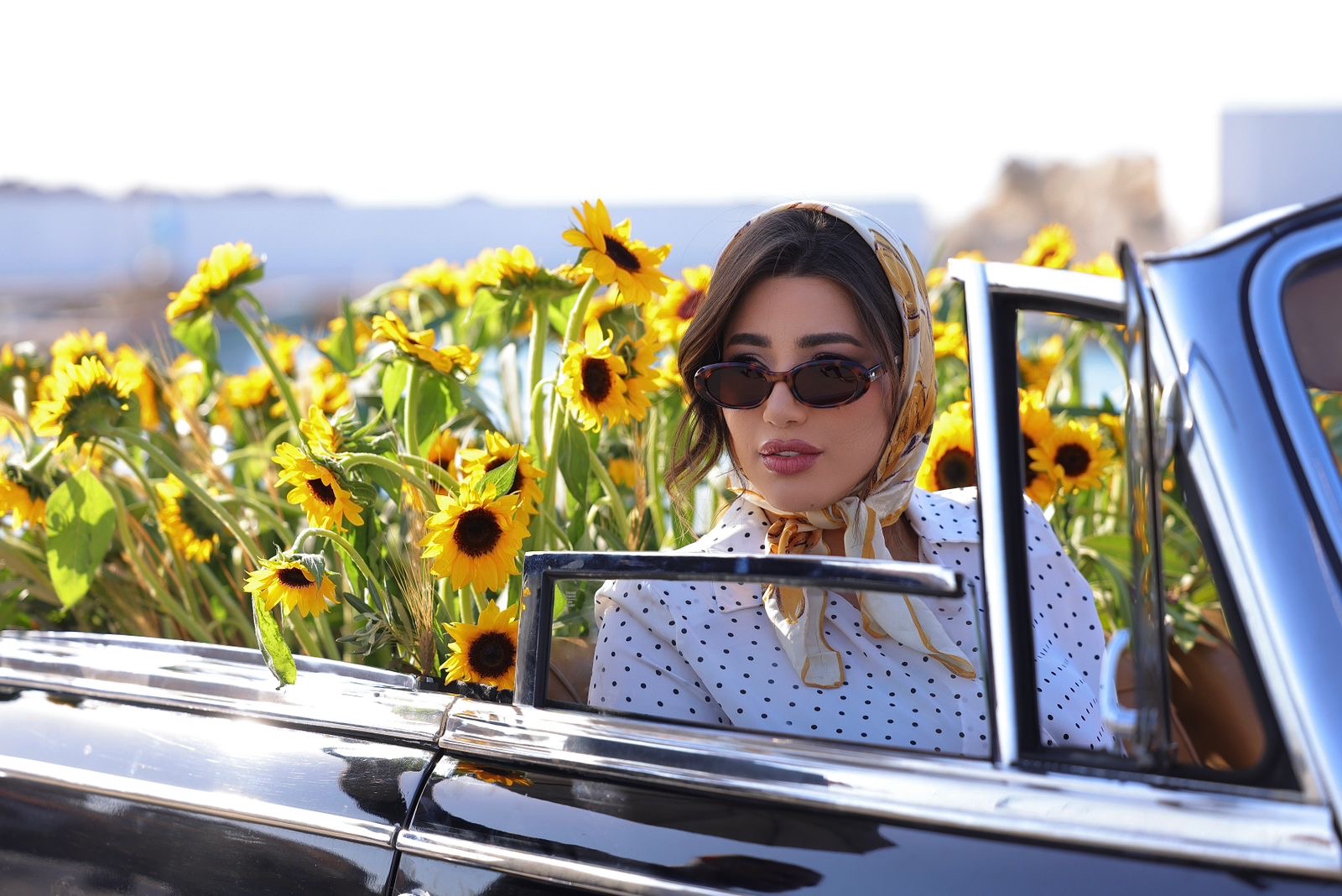 d2acc832-a42e-40d5-b338-8922d8fe6f8c